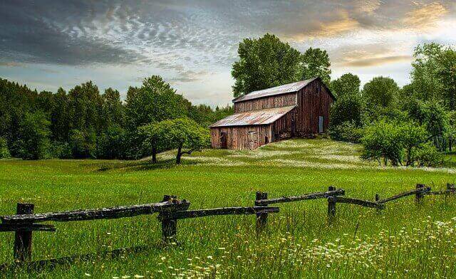 Farm
