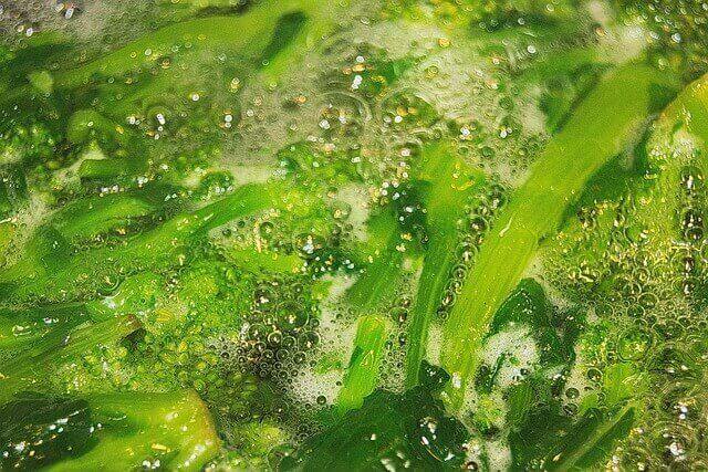kochendes wasser
