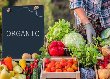 organic-produce